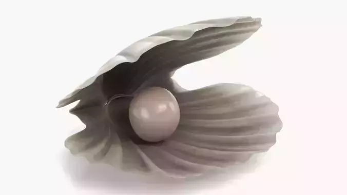 Clam with Pearl V3 - Realistic Cockle Seashell with Gemstone