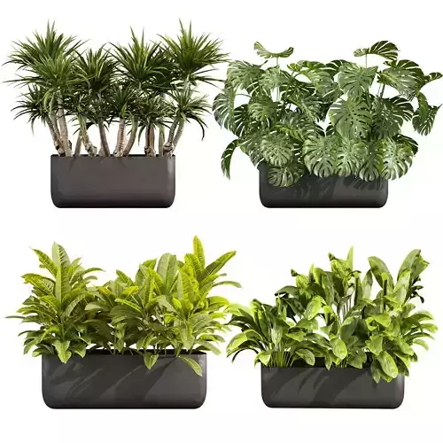 plant vol 706 - monstera - croton - peace lily - palm