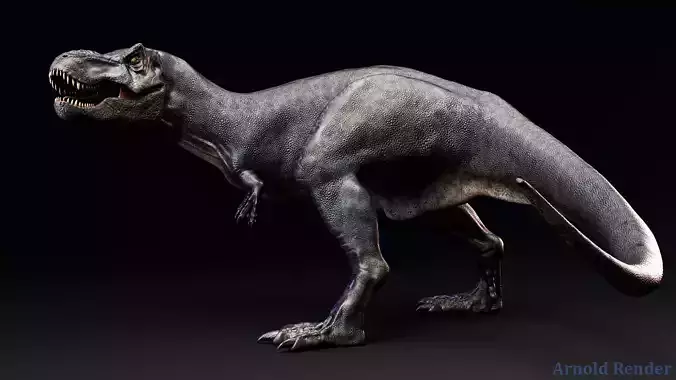 Dinosaur - Sub-Adult TRex