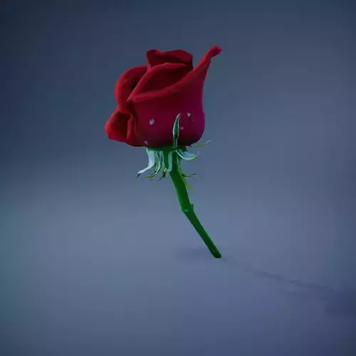 Red Rose Blossom model pack