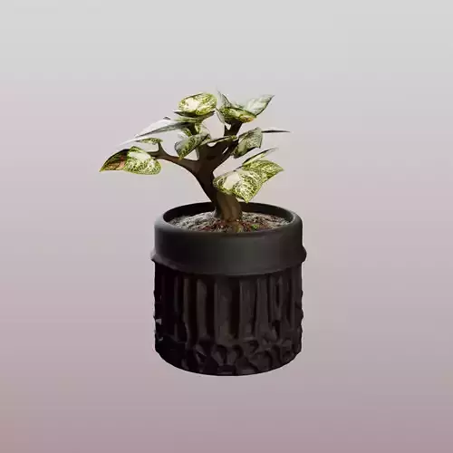 styllized Bonsai Plant