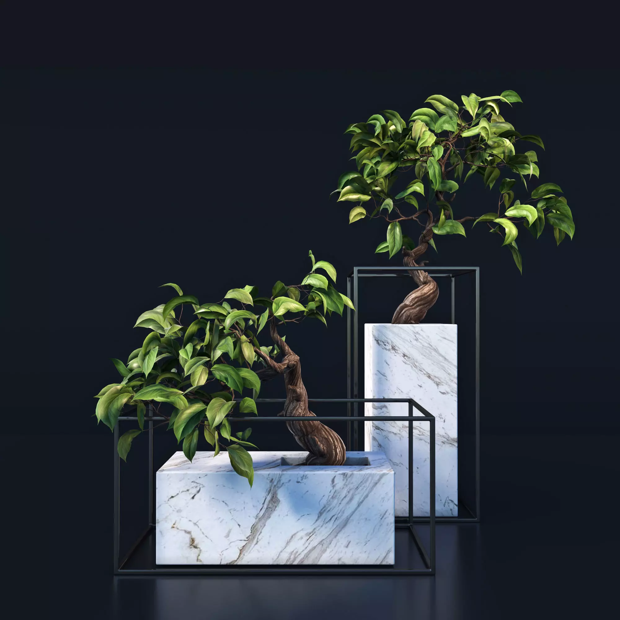 Bonsai trees 3D model