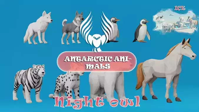 Antarctic animals Lo Polly