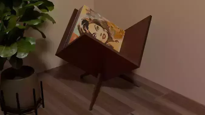 Mid Century Modern Vinyl Record Holder