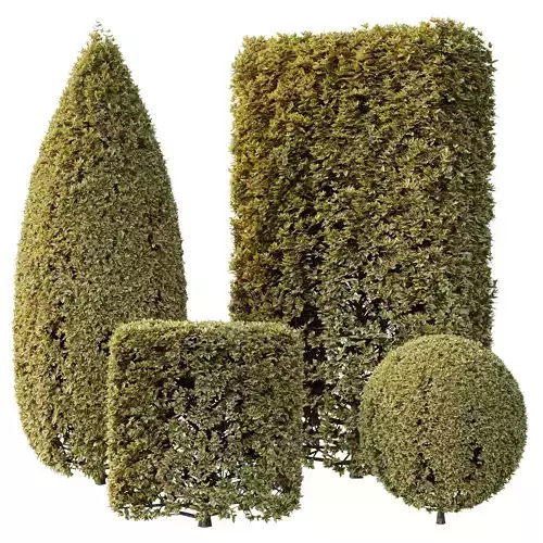 Cubic and Rectangle Topiary Bush - Bush Set 10