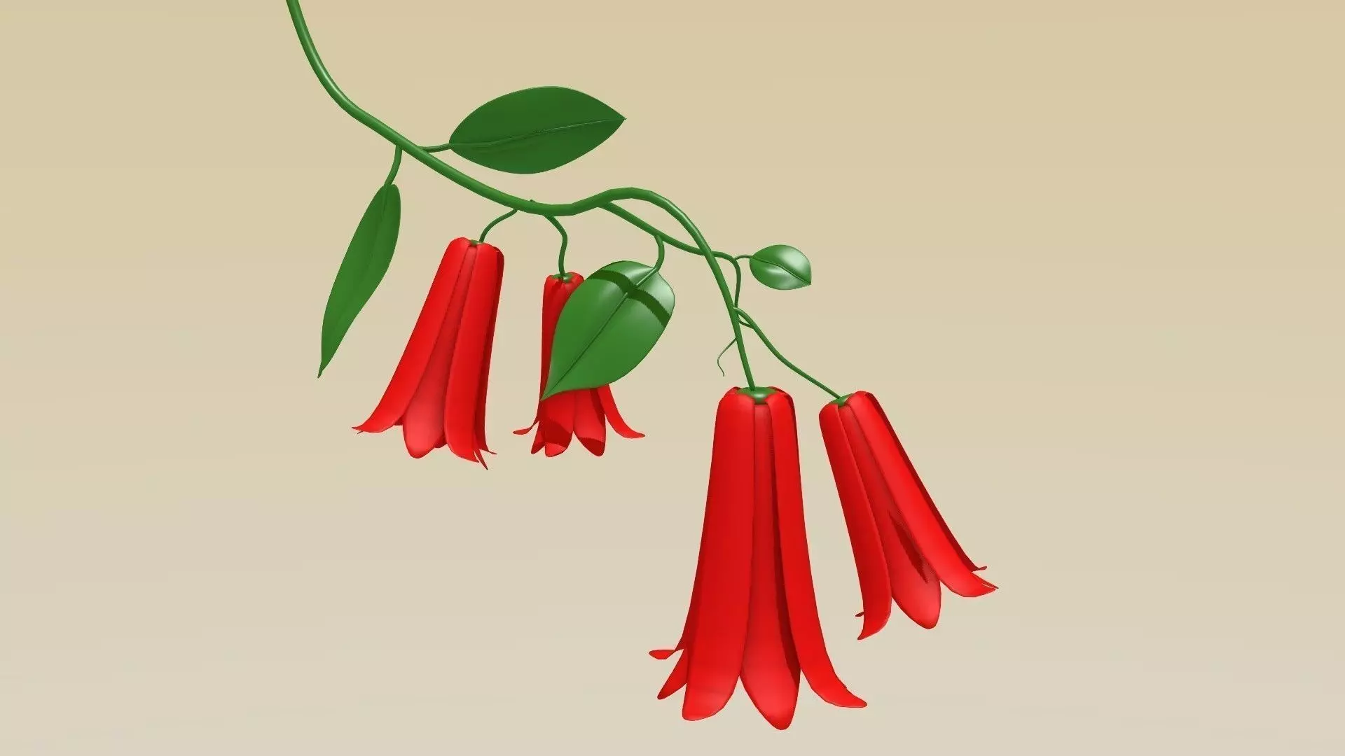 Copihue - Chilean bellflower 3D model