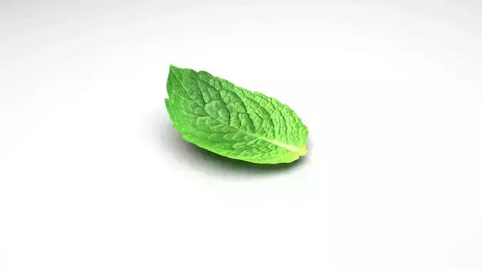 Mint Leaf