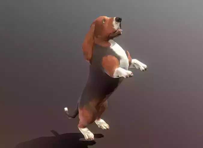 HOUND BIG DOG Stand Chilling Fbx Pbr Animated