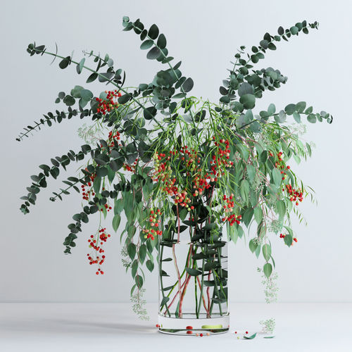 Pepperberries and Eucalyptuses 3D model