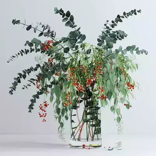 Pepperberries and Eucalyptuses 3D model