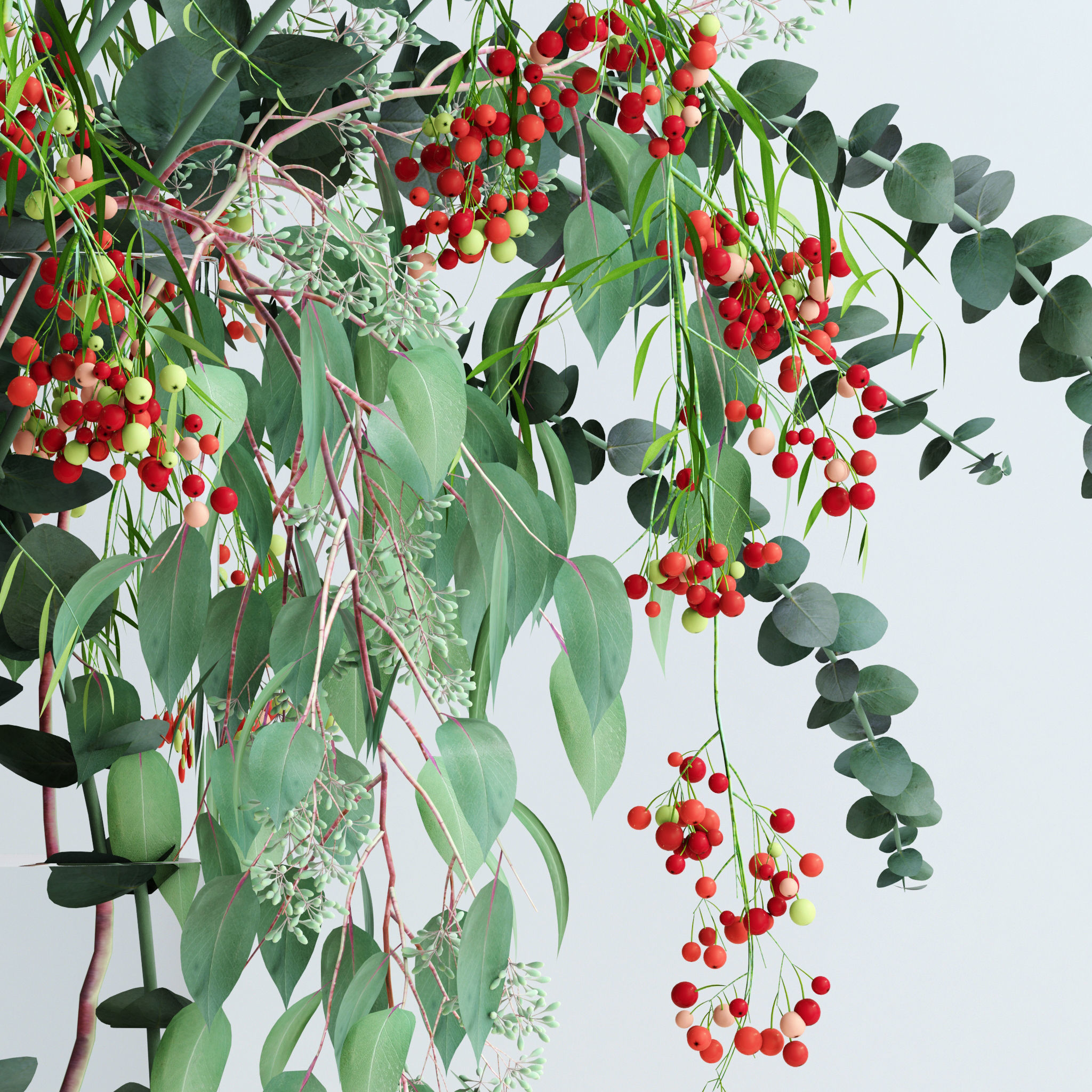 Pepperberries and Eucalyptuses 3D model_1