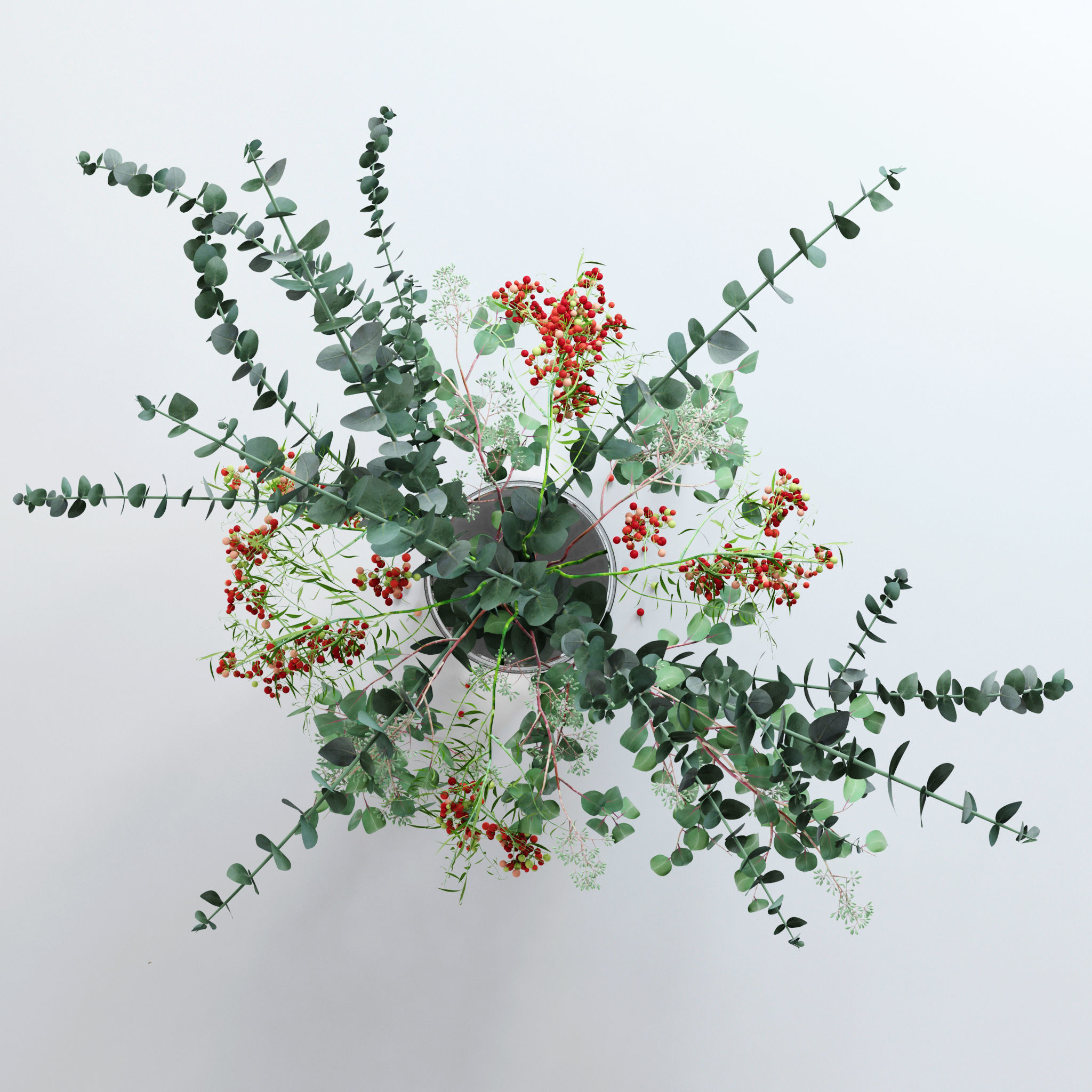 Pepperberries and Eucalyptuses 3D model_8