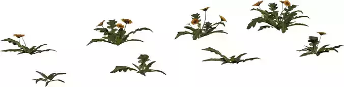 Yellow Wildflower Ground Cover 3D Model Pack