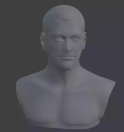 Realistic Male Bust