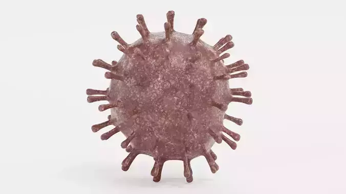 Coronavirus V1
