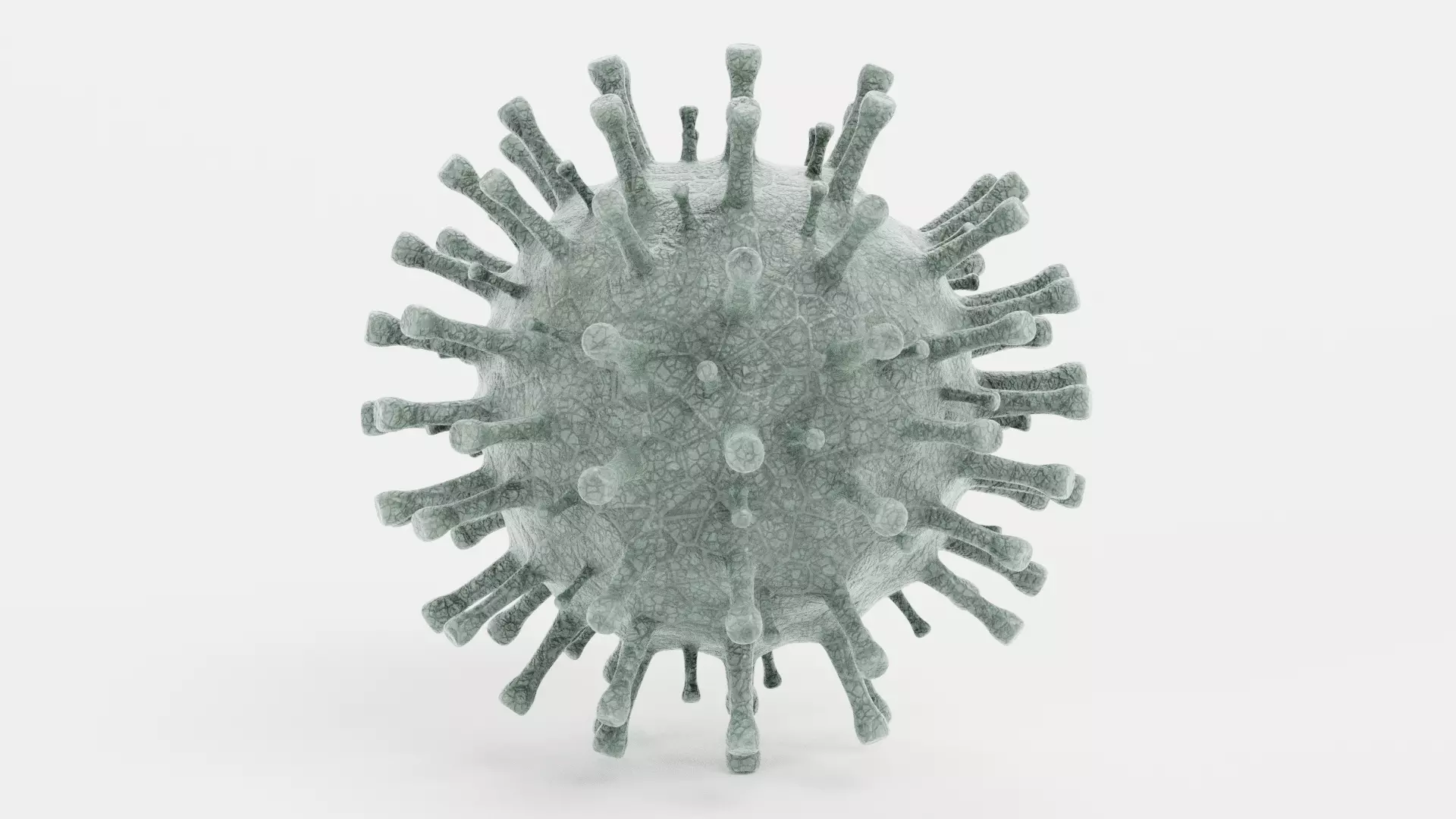 Coronavirus V2 3D model
