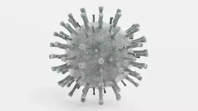 Coronavirus V2