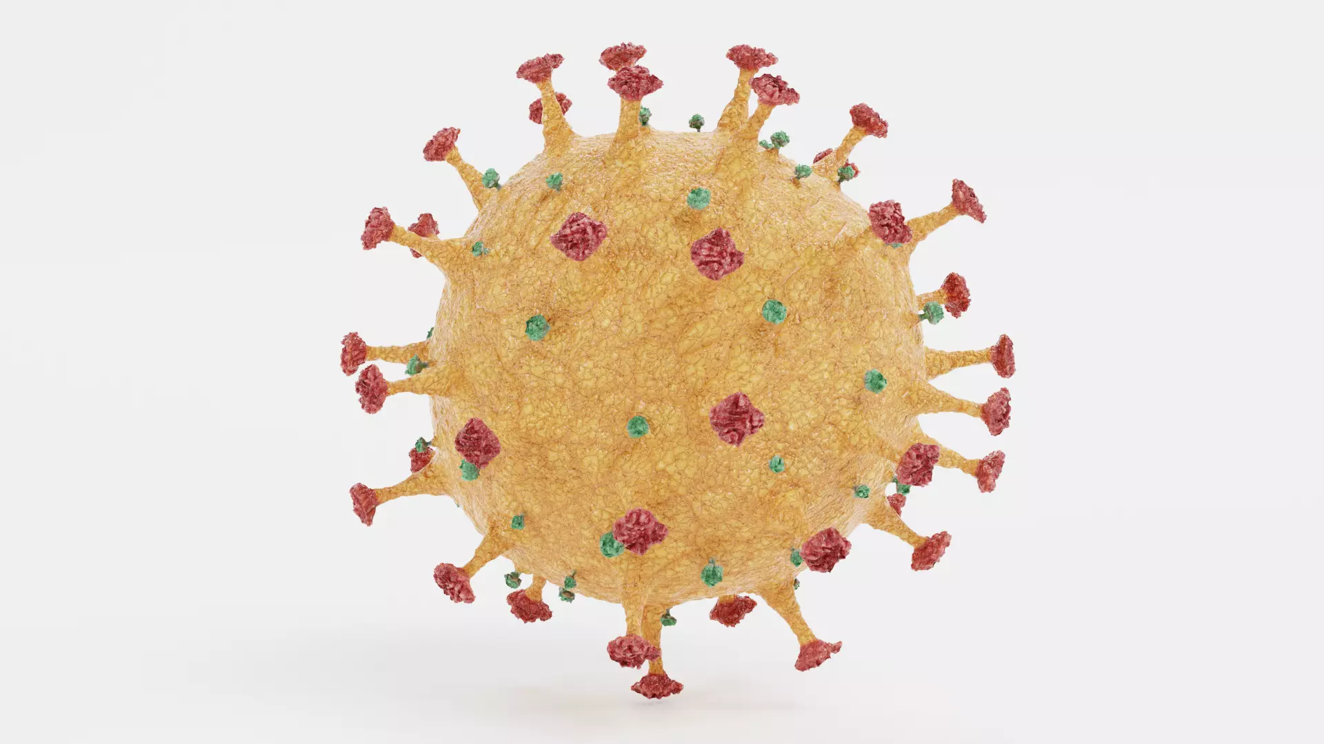 Coronavirus V3 3D model