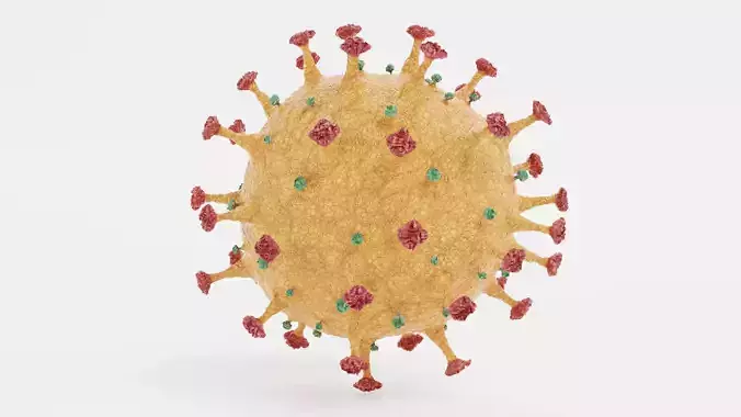 Coronavirus V3