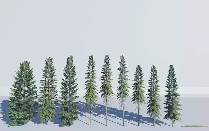 ROBLOX Realistic White Spruce Forest Tree Pack