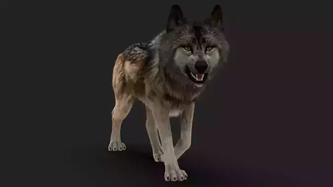 Wolf FUR Animated