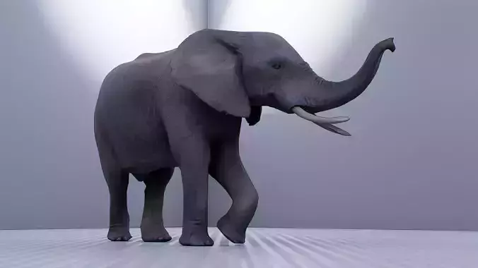 Walking Elephant