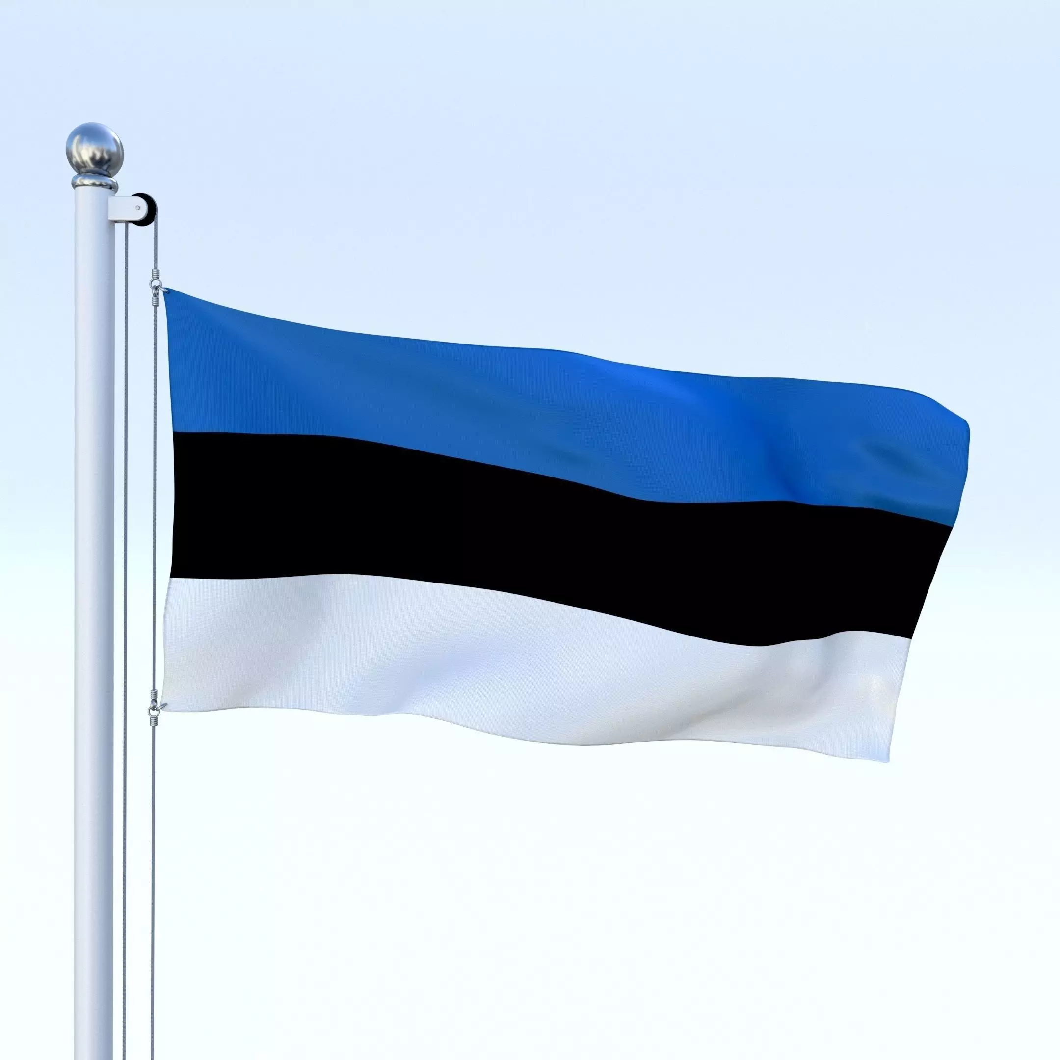Animated Estonia Flag Low-poly 3D model