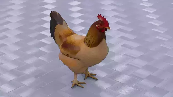 Standing Hen
