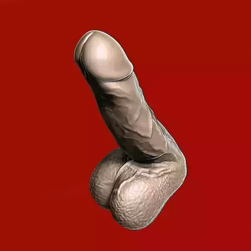 my penis scanned
