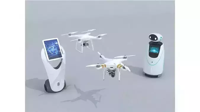 Scenarios of Service Robots