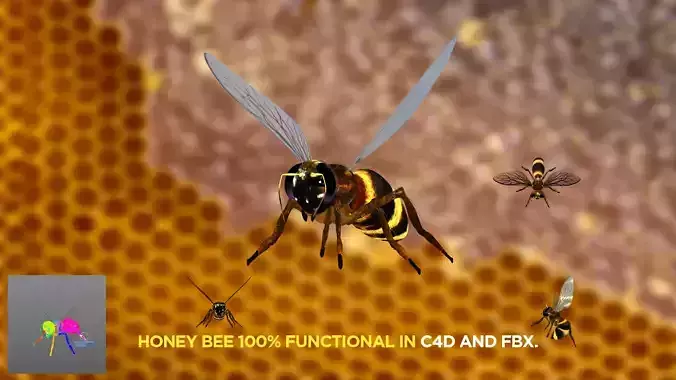 Bee Honey Movie 3D Model