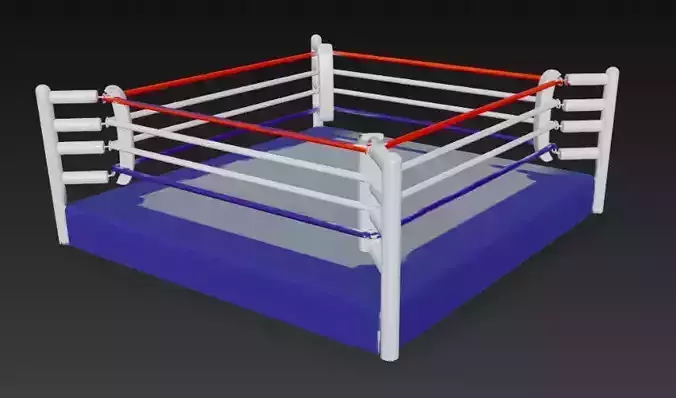 Professional Boxing Ring 3D Model