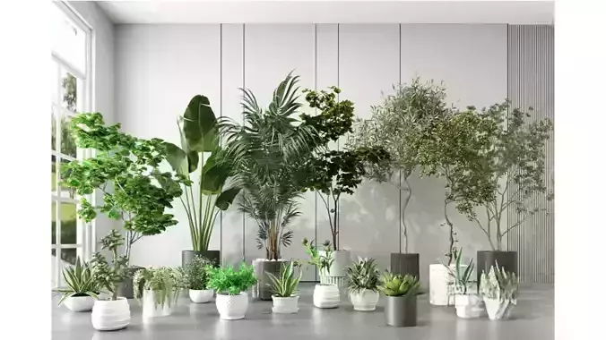 Green plant combination