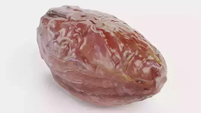 Dried Date - Realistic Fruit  3D model 7