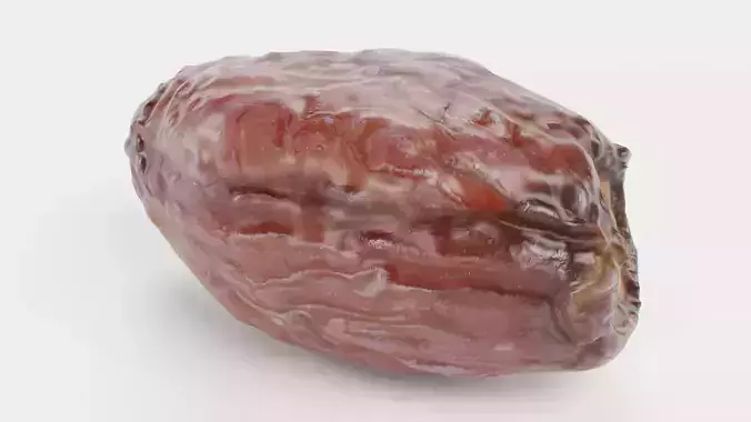 Dried Date - Realistic Fruit  3D model 4