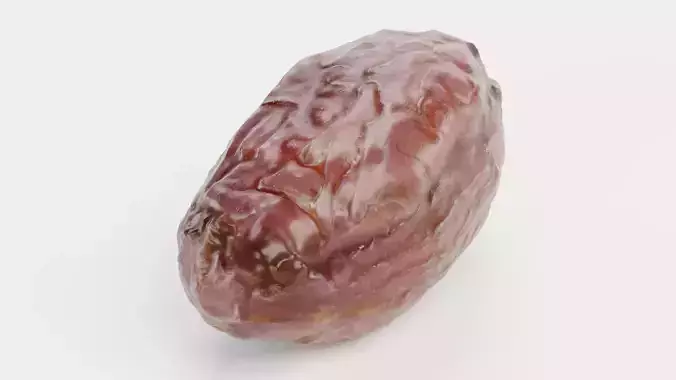 Dried Date - Realistic Fruit  3D model 6