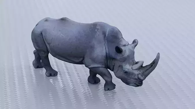 Rhino