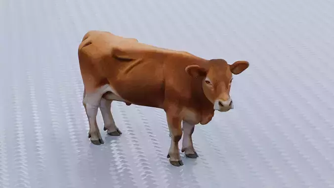 Brown Cow