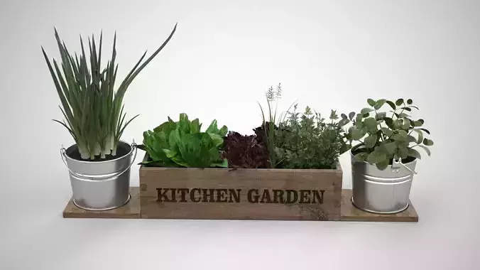 Kitchen Garden