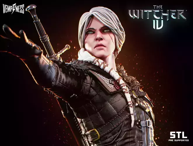 Ciri The Witcher