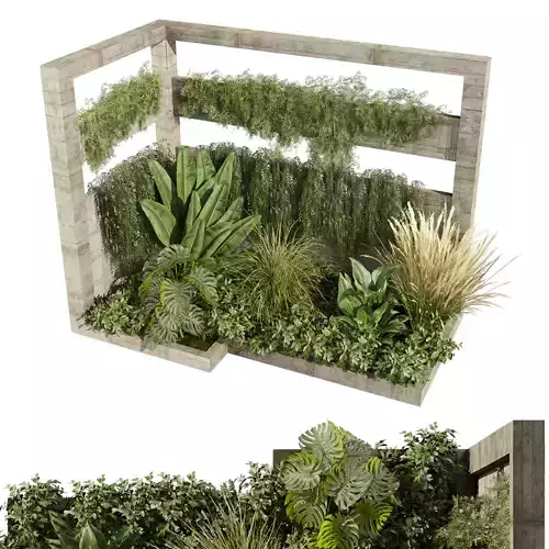 plant vol 707 - garden - palm - grass - leaf