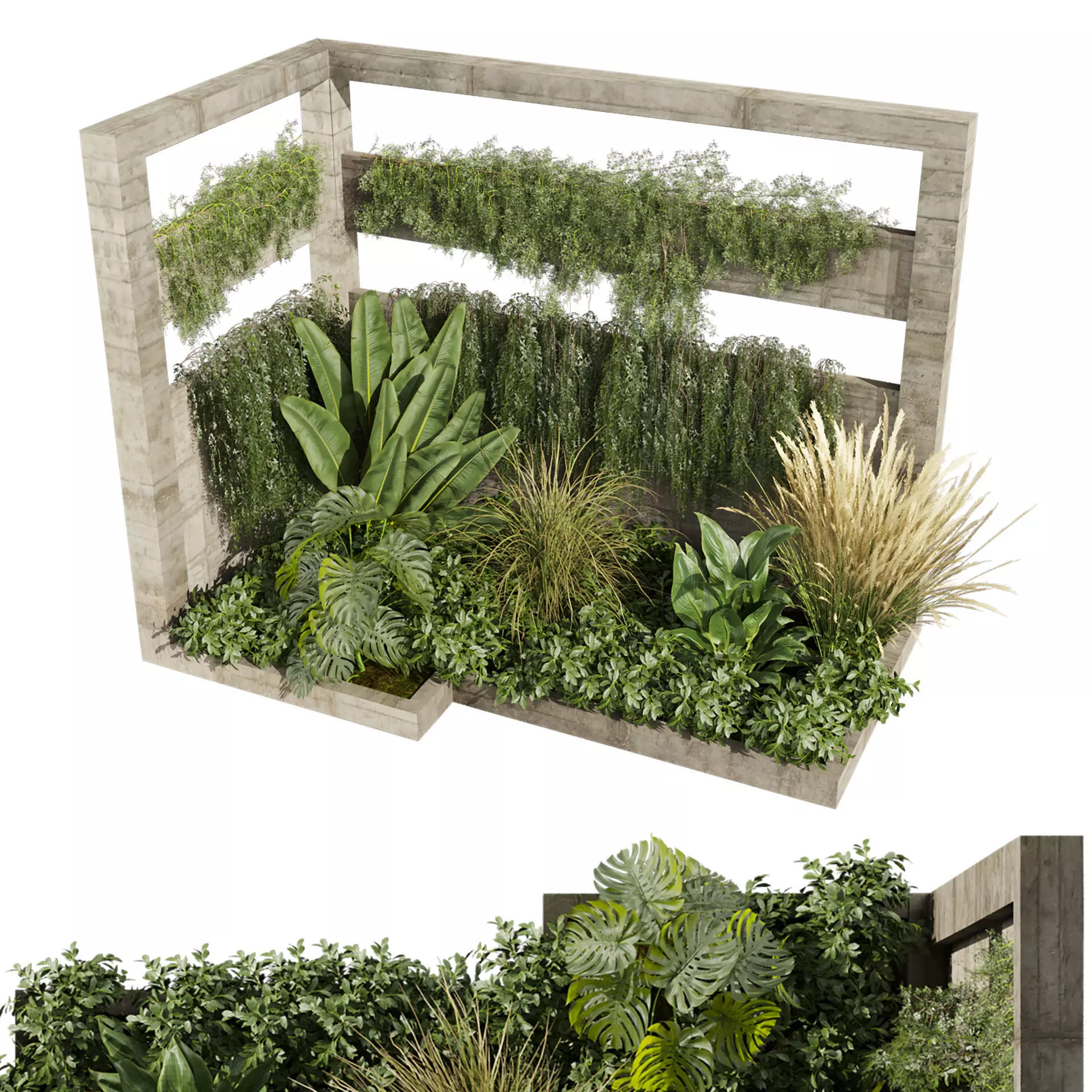 plant vol 707 - garden - palm - grass - leaf 3D model