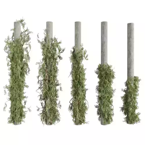 plant vol 711 - bush - outdoor - column - fitowall - ivy