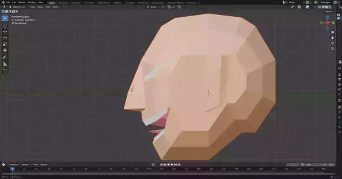 Geometric Head Cabeza Geometrica