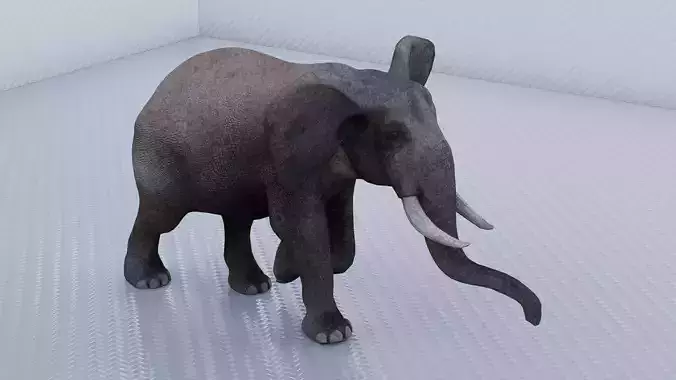 Elephant