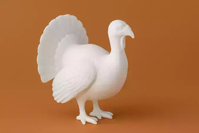Turkey Animal