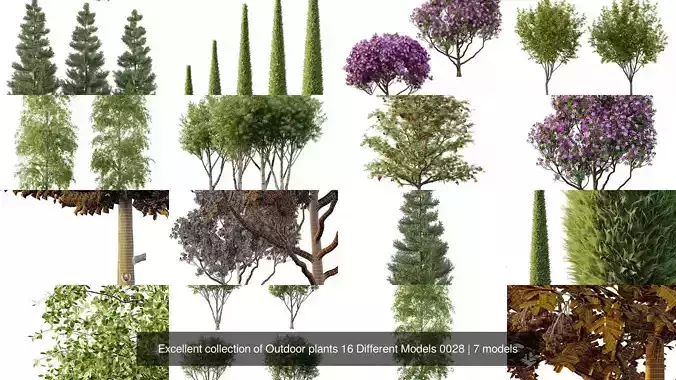 Excellent collection of Outdoor plants 16 Different Models 0028