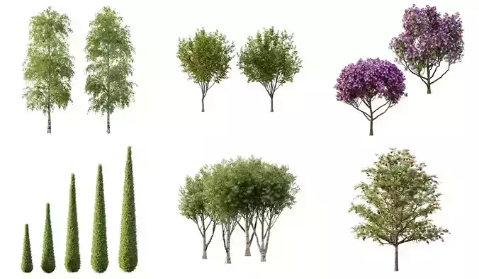 Excellent collection of Outdoor plants 16 Different Models 0028