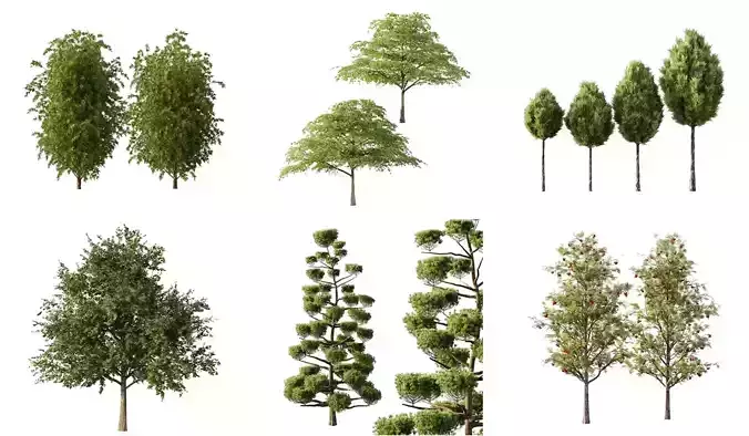 Excellent collection of Outdoor plants 13 Different Models 0029