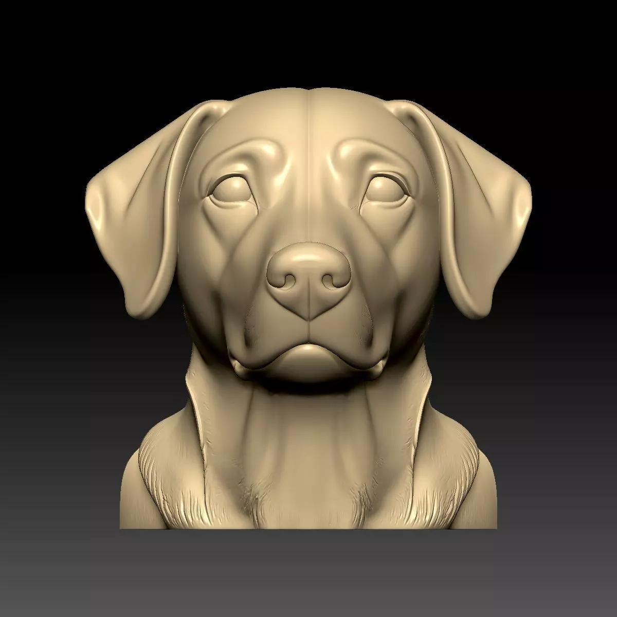 The Head Of Dog Free 3D model